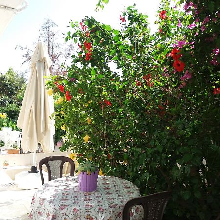 Cizmeci Apart Hotel Çeşme Εξωτερικό φωτογραφία